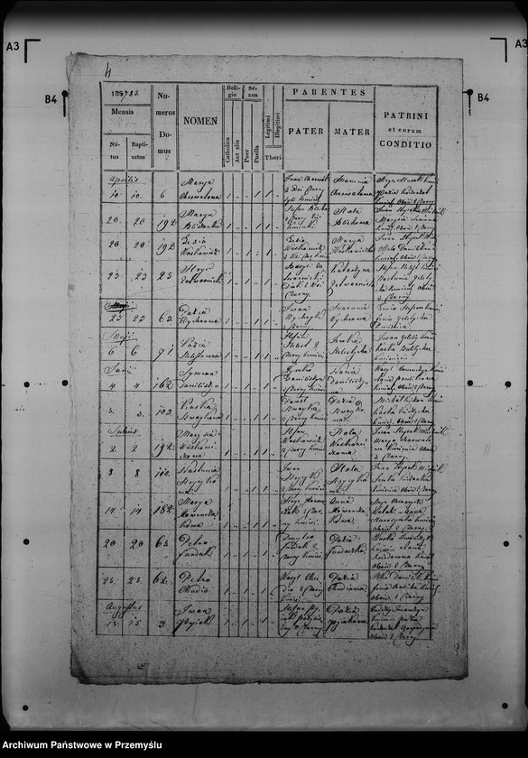 Obraz 8 z jednostki "[Kopie ksiąg metrykalnych parafii Czarna z filią Żołobek (dekanat Lutowiska)]"