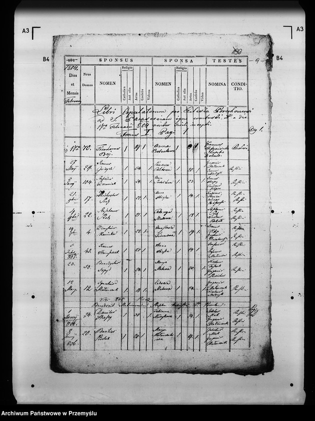 Obraz 13 z jednostki "[Kopie ksiąg metrykalnych parafii Kołodruby z filiami Lipice, Powerchów (dekanat Komarno)]"