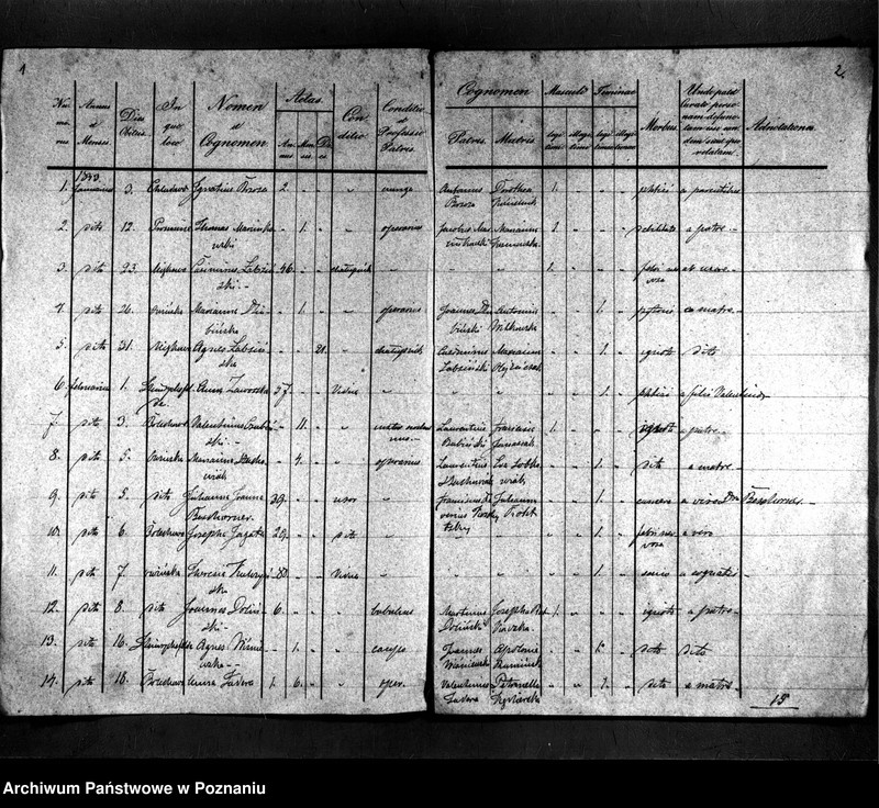 image.from.unit.number "Duplikat zmarłych"