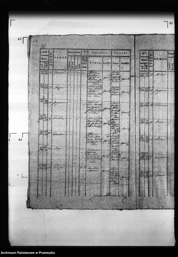 Obraz 11 z jednostki "[Kopie ksiąg metrykalnych parafii Hruszów z filiami Budomierz, Kłonice, Szczepłoty (dekanat Niemirów)]"