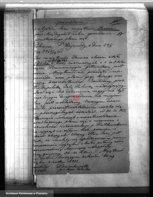 Obraz 20 z jednostki "Majętność leśna Ławica w powiecie międzychodzkim /nadzór nad gospodarką leśną/"