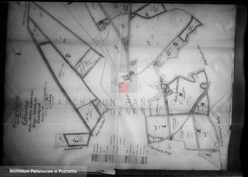 Obraz 11 z jednostki "Rejestr pomiarowy zasiewów i upraw majątku Łobżenice"