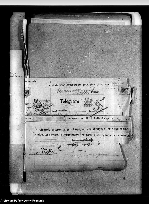 image.from.unit.number "Sprawy stadnin licencjonowanie ogierów prywatnych"