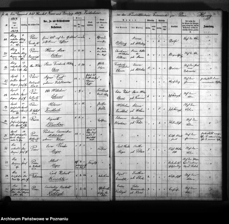 Obraz 17 z jednostki "Verstorbenenbuch"