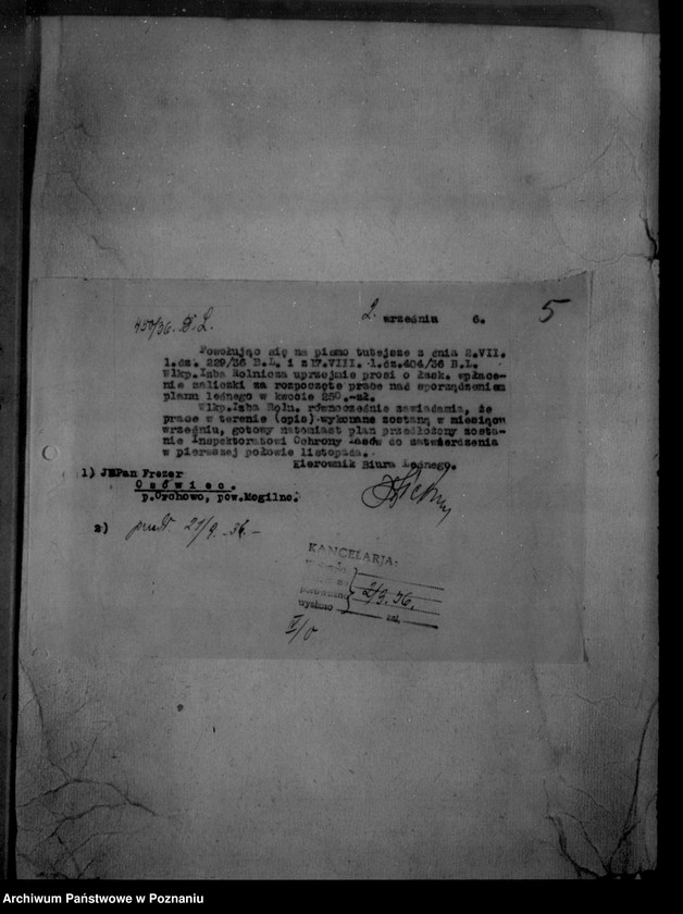 Obraz 9 z jednostki "/Majętność leśna/ Ossowiec/ powiat mogileński"