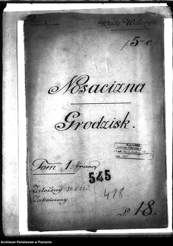 Obraz 4 z jednostki "Nosacizna - Grodzisk"