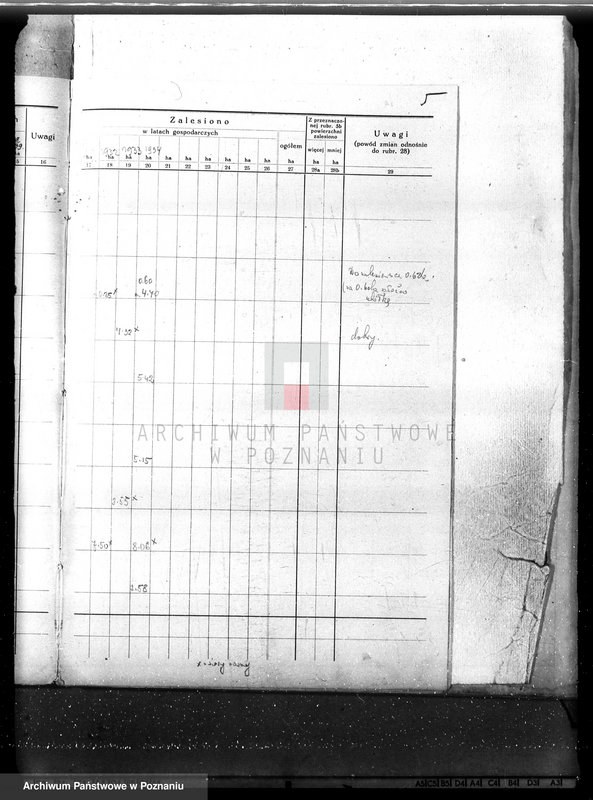 Obraz 9 z jednostki "Plan urządzenia gospodarstwa leśnego dla lasu majętności Nowy Dwór w powiecie nowotomyskim 1930-1940"