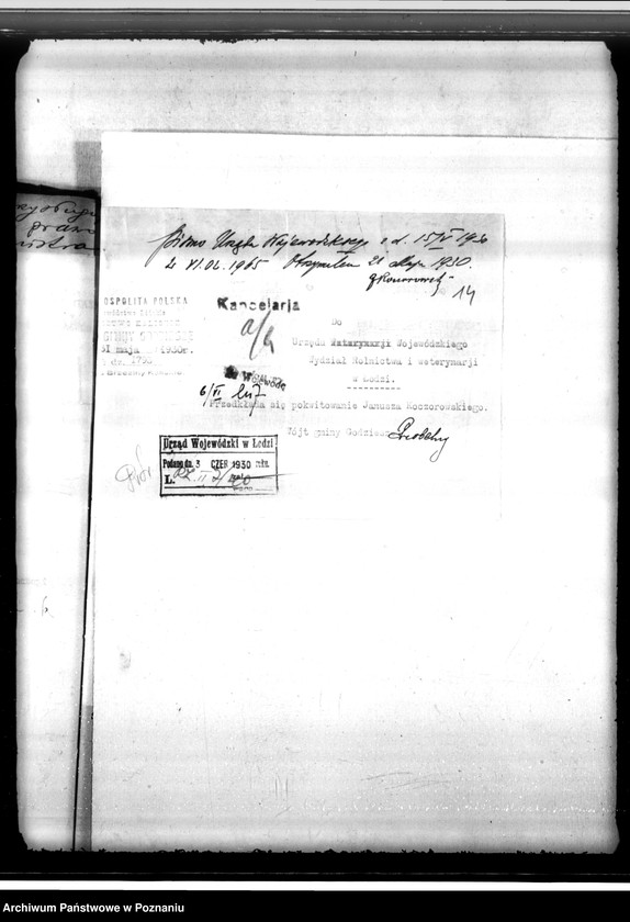 Obraz 18 z jednostki "Zatwierdzenie projektu planu urządzenia gospodarstwa leśnego dla lasów majątku Przystajnia powiat kaliski"