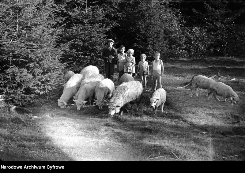 Obraz 9 z jednostki "Podróż pociągiem na Podhale z Krakowa przez miejscowość Tunel"