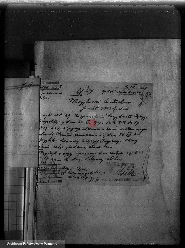 Obraz 15 z jednostki "Majętność Wituchowo w powiecie międzychodzkim"