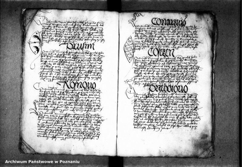 Obraz 12 z jednostki "Inscriptiones, relationes, decreta [inducta]"