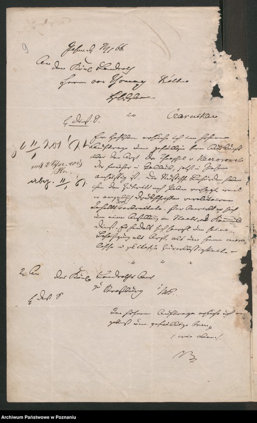 Obraz 13 z jednostki "A. betr. Theofil von Kaczorowski /Koczorowski/"