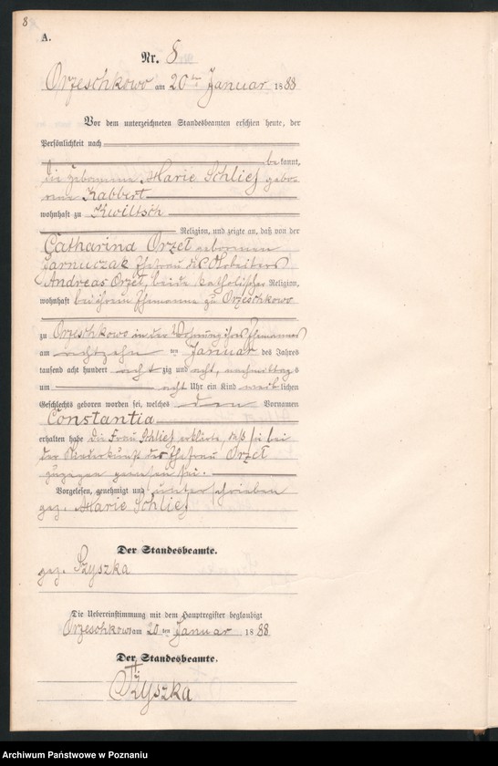 Obraz 11 z jednostki "Księga urodzeń"