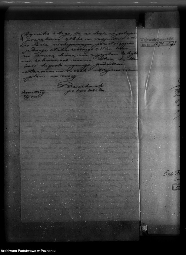 Obraz 8 z jednostki "Majętność leśna Zadory powiat kościański"