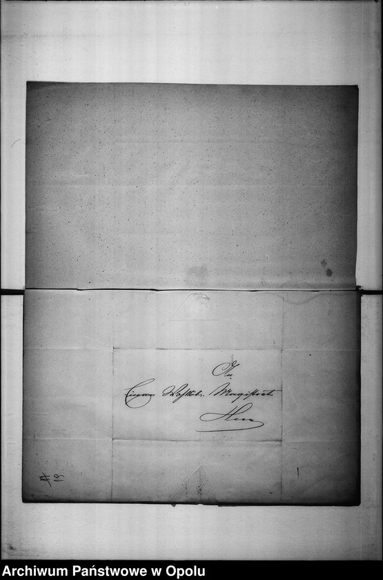 Obraz 15 z jednostki "Acta des Magistrats zu Oppeln betreffend: die Strassen-Beleuchtung und Verdingung der Oellieferung. de Anno 1853"