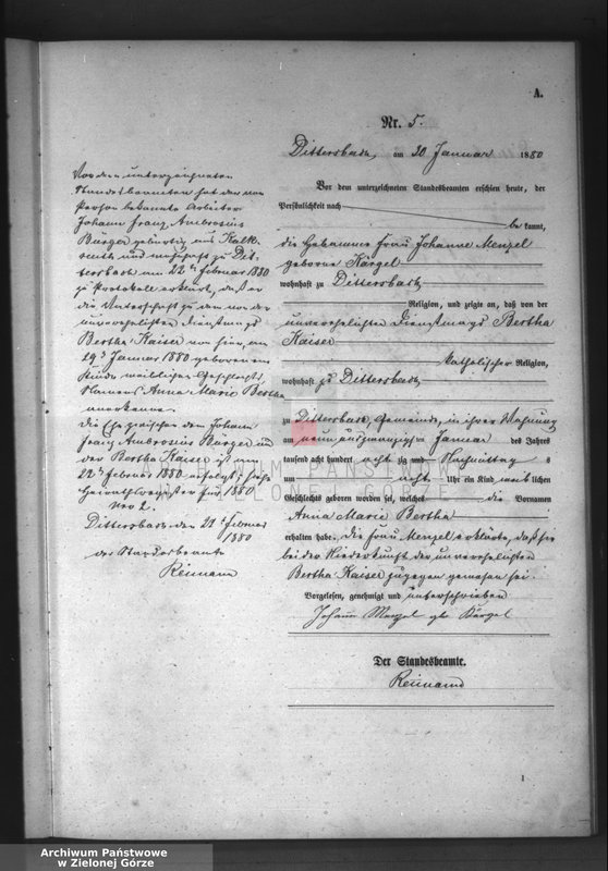 Obraz 8 z jednostki "[Księga aktów urodzeń]"