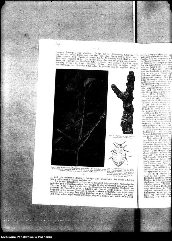 image.from.unit.number "Sprawy szczegółowo-administracyjne Mszyca wełnista i inne szkodniki"