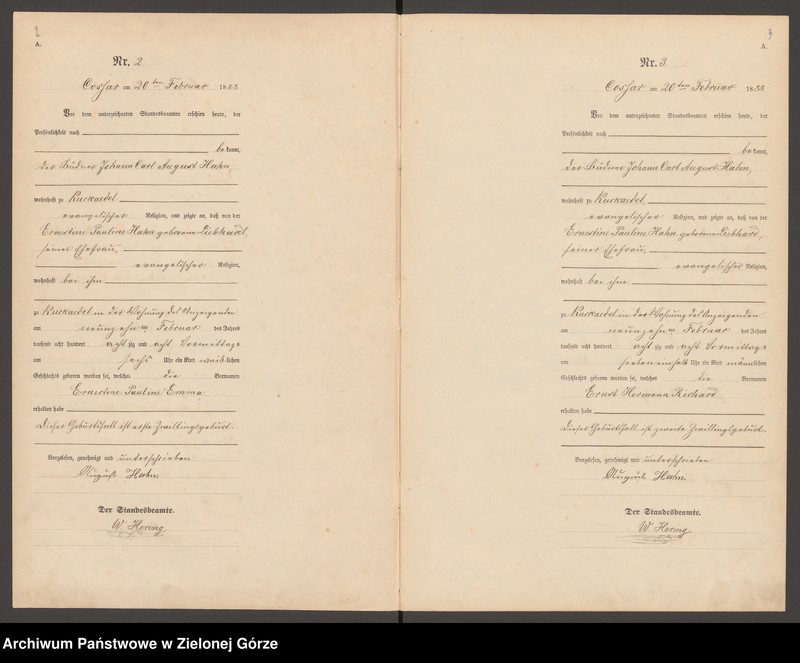 image.from.unit "[Księga urodzeń]"