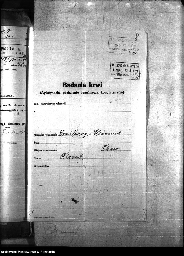 Obraz 12 z jednostki "Nosacizna - Pleszew"