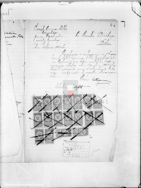 Obraz 8 z jednostki "Gminne Koło Łowieckie w Pęcherzewie powiat turecki"