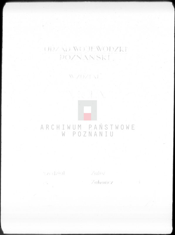Obraz 4 z jednostki "Towarzystwo Ogródków Działkowych przy Parku 3 Maja w Ostrowie Wielkopolskim"