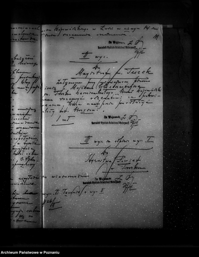 Obraz 15 z jednostki "Zatwierdzenie planu gospodarstwa leśnego dla majątku Brody powiatu tureckiego"