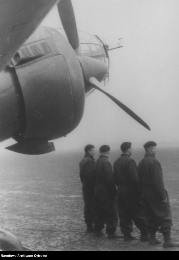 Obraz 8 z jednostki "Samolot PZL-37 "Łoś""