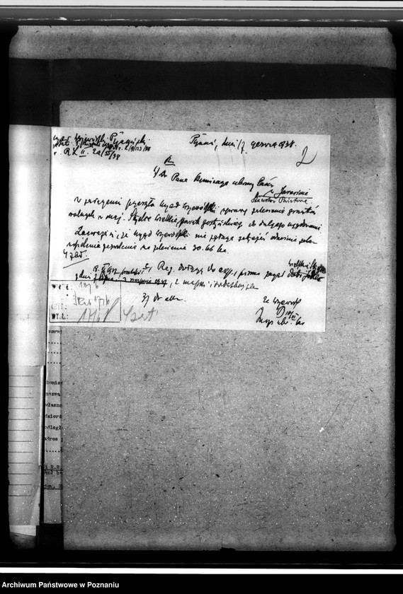 Obraz 6 z jednostki "Las majątku Strzelce-Wielkie w powiecie gostyńskim"