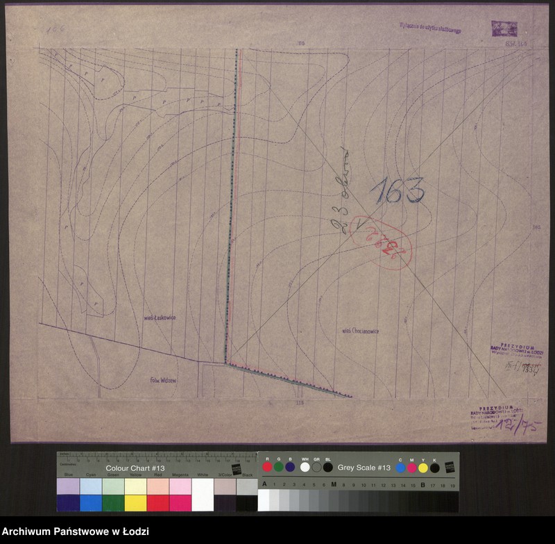 Obraz 1 z jednostki "Plan m. Łodzi 1:2000 z oznaczeniem podziału miasta na obwody i rejony spisowe. Sekcja SW106"