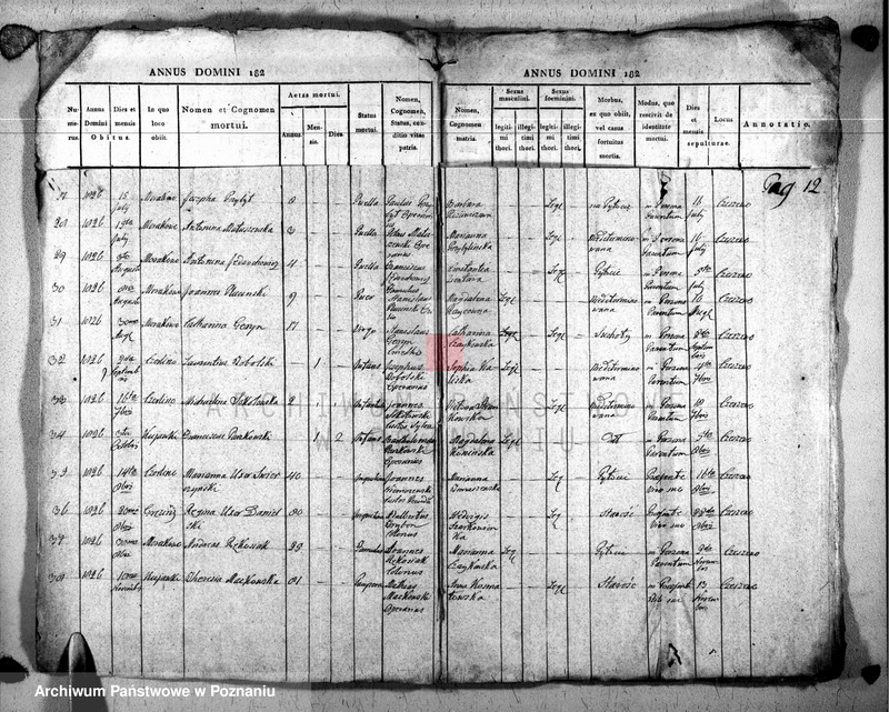 Obraz 13 z jednostki "Duplikat baptisatorum, copulatorum u. mortuorum"