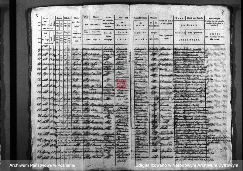 image.from.unit.number "Duplicatus baptisatorum, copulatorum, mortuorum"