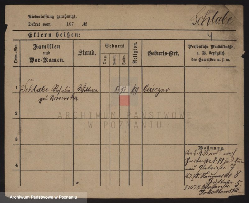 Obraz 11 z jednostki "Szlabic - Szlechta"