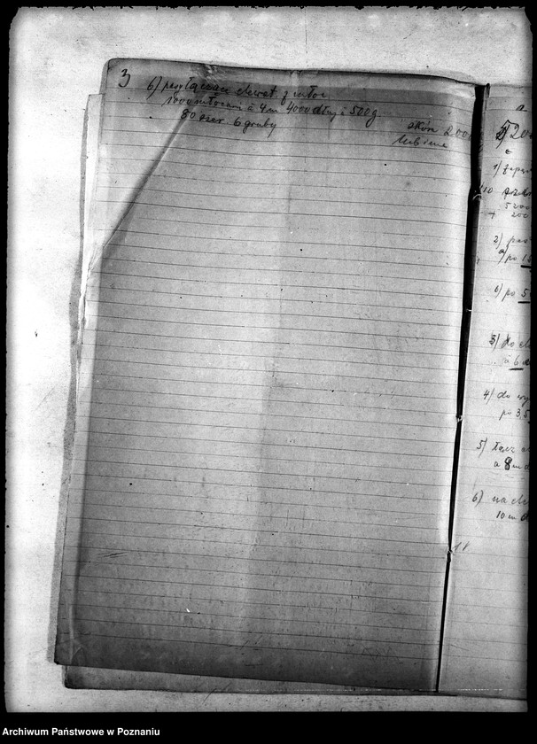 Obraz 7 z jednostki "Pasy z Belgii - gen."