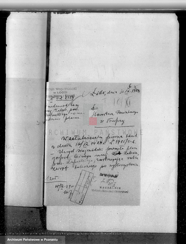 Obraz 9 z jednostki "Sprawa zmiany rodzaju użytkowania 14,42 ha gruntów leśnych w majątku Zalesie powiatu słupeckiego i zatwierdzenie planu gospodarczego"