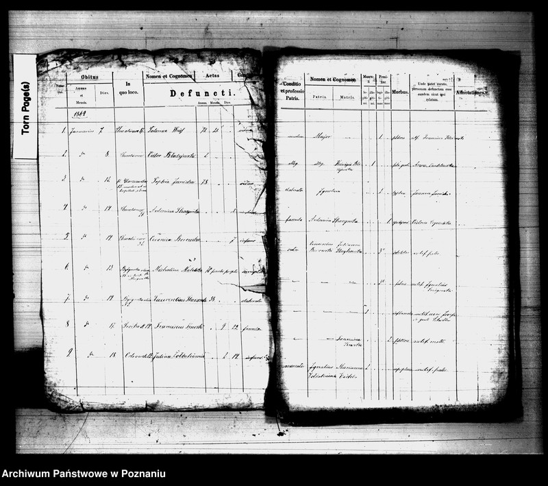 Obraz 2 z jednostki "Księga zgonów"