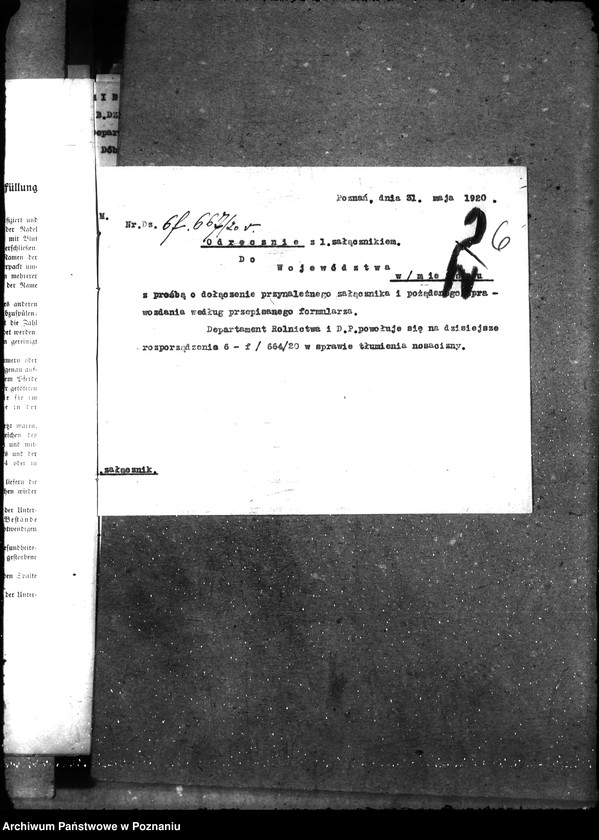 Obraz 11 z jednostki "Nosacizna - Chodzież"