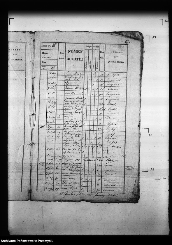 Obraz 20 z jednostki "[Kopie ksiąg metrykalnych parafii Ulicko (dekanat Niemirów)]"