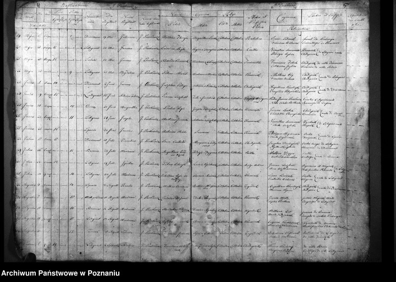 Obraz 5 z jednostki "Duplicatum natorum, copulatorum, mortuorum"