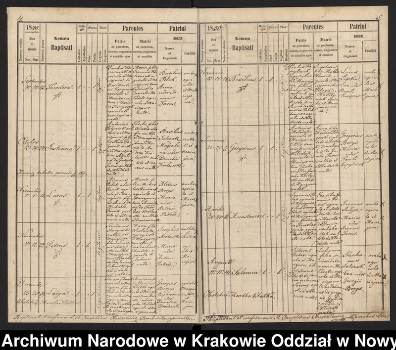 image.from.team "Akta stanu cywilnego Parafii Greckokatolickiej w Maciejowej"