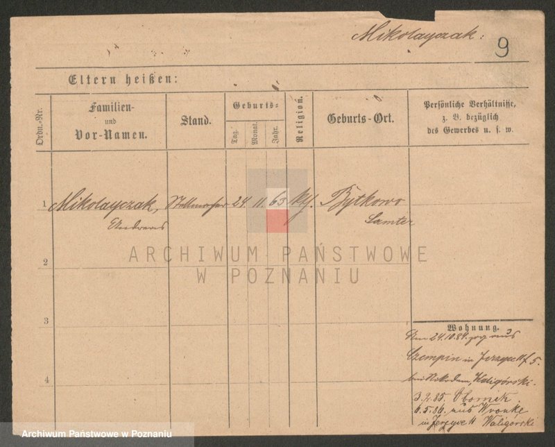 Obraz 11 z jednostki "Mikołajczak (żonaci i wdowy)"