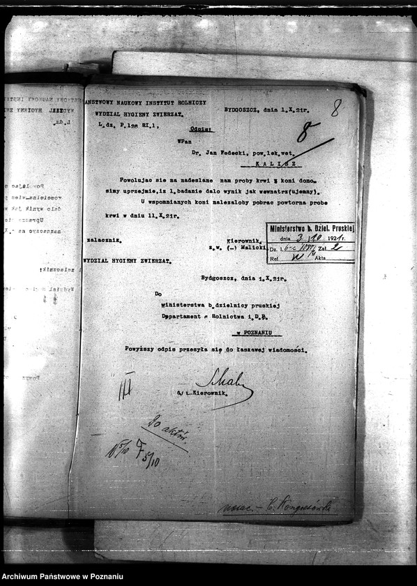 Obraz 12 z jednostki "Nosacizna - b. Kongresówka"