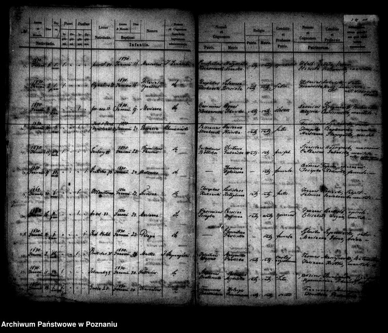 Obraz 4 z jednostki "Księga urodzin"