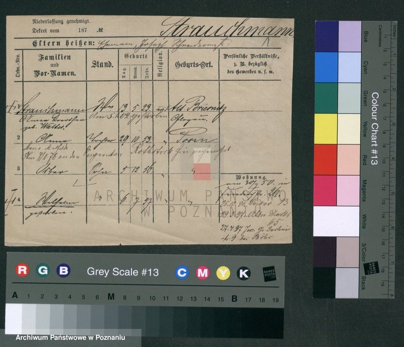 Obraz 4 z jednostki "Strauchman - Striwy (Strü...)"