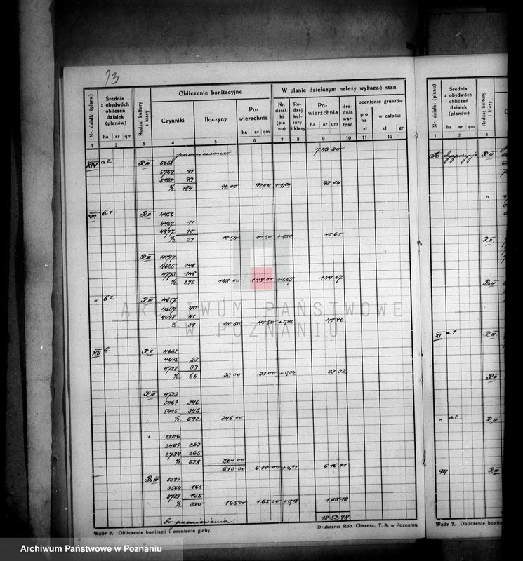 Obraz 17 z jednostki "Obliczenie bonitacji do planu dzielczego majątku Trzeciewnica wyrzyskiego"