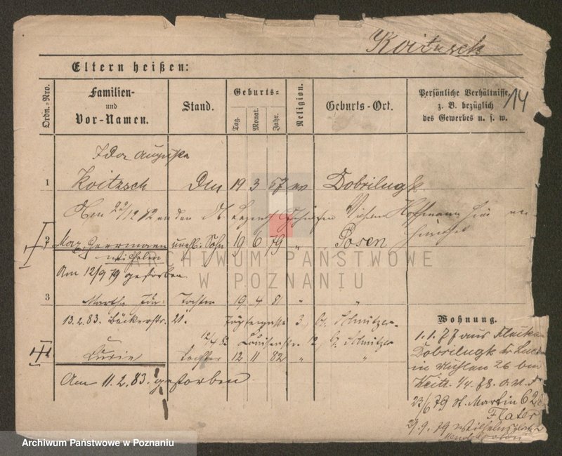 Obraz 14 z jednostki "Koj - Kolanas"