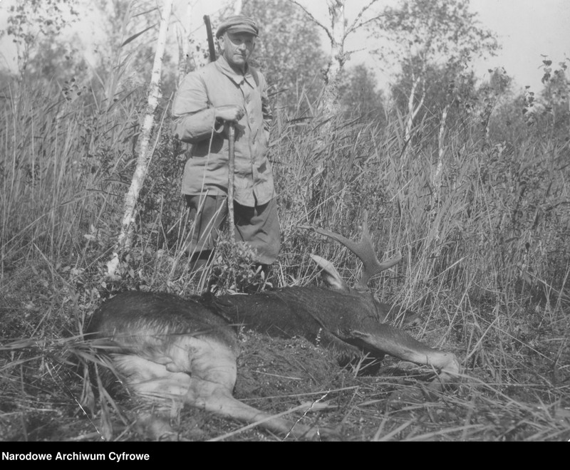 image.from.unit.number "Polowanie na łosie w majątku hrabiego Jarosława Potockiego"