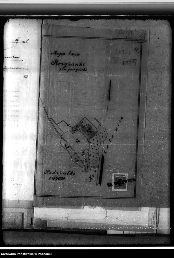 Obraz 16 z jednostki "Majętność leśna Krzyżanki w powiecie gostyńskim"