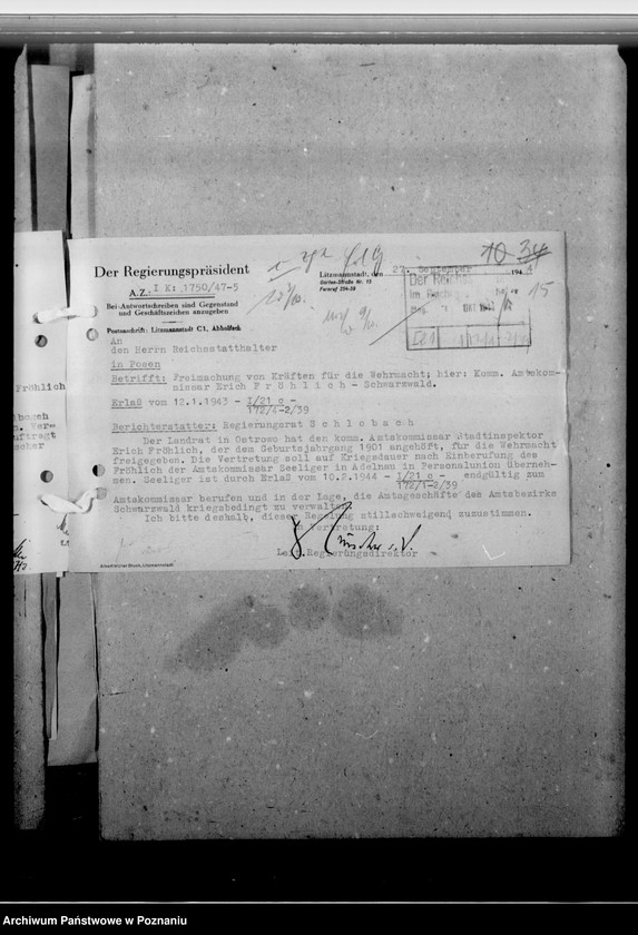 Obraz 19 z jednostki "Fröhlich, Erich - inspektor miejski"