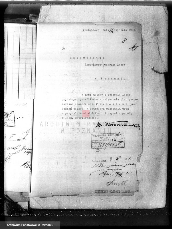 Obraz 14 z jednostki "Nadzór nad gospodarką w lasach majętności Pamiątkowo powiat obornicki"