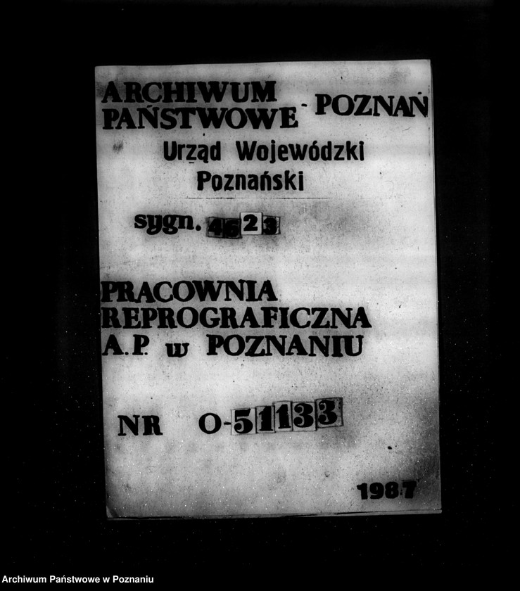 Obraz 1 z jednostki "Tartak parowy Fundacji Sułkowskich w Rydzynie, pow. leszczyński"